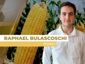 Raphael Bulascoschi - Analista de Inteligência de Mercado de Milho da StoneX
