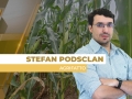 Stefan Podsclan - Consultor de Grãos e Projetos na Agrifatto