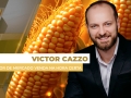 milho site