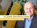 Vlamir Brandalizze - Consultor de Mercado da Brandalizze Consulting