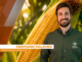 Cristiano Palavro - Diretor da Pátria Agronegócios