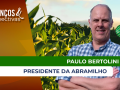 Paulo Bertolini - Presidente da Abramilho