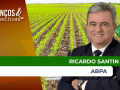 Ricardo Santin - Presidente da ABPA