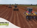 TATU MARCHESAN - Ganhos em produtividade com a plantadeira de amendoim PHT4 Flex Suprema