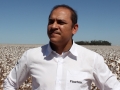 Rafael Ribeiro - Gerente de Biotecnologia Algodão BASF