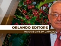 Orlando Editore - Head de Café da Datagro