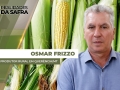 Osmar Frizzo - Produtor Rural em Querência/MT