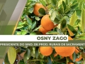 Osny Zago - Presidente do Sind. de Prod. Rurais de Sacramento