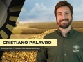 Cristiano Palavro Consultor Técnico da Aprosoja-GO