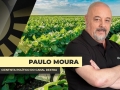 Paulo Moura Cientista Político do Canal Dextra