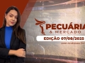 Pecuária e Mercado - Programa Completo