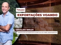 Geraldo Isoldi - Especialista em Mercados Agrícolas da Terra Investimentos