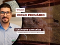 Alexandre Guimarães - Superintendente da Novilho Precoce MS