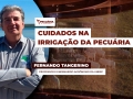 Fernando Tangerino - Professor e Engenheiro da UNESP