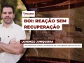 Lorenzo Junqueira - Pecuarista de corte e fundador da comunidade Balcão do Boi