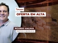 Ricardo Viacava - Diretor da CV Nelore Mocho