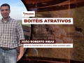 João Roberto Ribas - Diretor-proprietário do Boitel Ribas Agropecuária