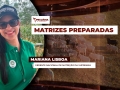 Mariana Lisboa - Gerente Nacional de Nutrição da Supremax