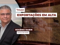Rogério Marin - CEO da Tek Trade