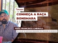 João Francisco Cherulli - Dir. de MKT da Associação Brasileira dos Criadores de Bonsmara