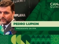 Pedro Lupion