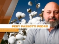 Pery Passotti Pedro - Consultor Independente
