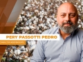 Pery Passotti Pedro - Consultor Independente