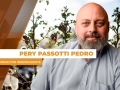 Pery Passotti Pedro - Consultor Independente