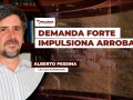 Alberto Pessina - CEO da Agromove