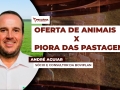 André Aguiar - Sócio e Consultor da Boviplan