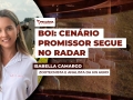 Isabella Camargo - Zootecnista e analista da HN Agro