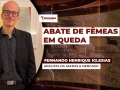 Fernando Henrique Iglesias - Analista da Safras & Mercado