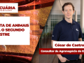 César de Castro Alves - Consultor de Agronegócio do Itaú BBA