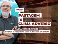 Alexandre Craveiro - Diretor de Pesquisa e sócio-fundador da Fertsan