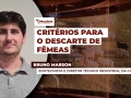 Bruno Marson - Zootecnista e Diretor Técnico Industrial da Connan