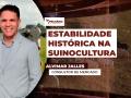 Alvimar Jalles - Consultor de Mercado
