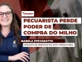 Isabela Stevanatto - Analista de Mercado da Scot Consultoria