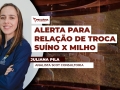 Juliana Pila - Analista Scot Consultoria