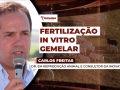 Carlos Freitas - Dr. em Reprodução Animal e Consultor da InovaTeck