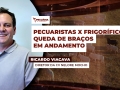 Ricardo Viacava - Diretor da CV Nelore Mocho