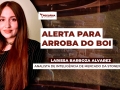 Larissa Barboza Alvarez - Analista de Inteligência de Mercado da StoneX