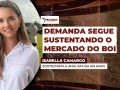 Isabella Camargo - Zootecnista e analista da HN Agro