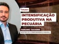 Fabiano Tavares - Gestor do Confinamento Pontal