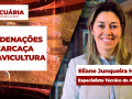 Eliane Junqueira Horning - Especialista Técnico da Auster