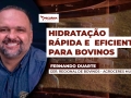 Fernando Duarte