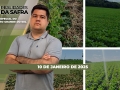 Realidades da Safra - Notícias Agrícolas