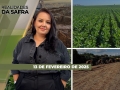 Realidades da Safra - Notícias Agrícolas