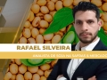 Rafael Silveira - Analista de Soja na Safras & Mercado