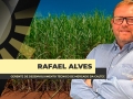 Rafael Alves - Gerente de Desenvolvimento Técnico de Mercado da Caltec