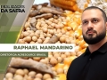 Raphael Mandarino - Diretor da AgResource Brasil